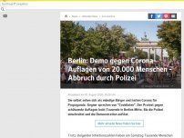 Bild zum Artikel: Berliner Corona-Demo abgebrochen - Anzeige gegen Veranstalter