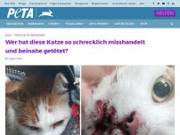 Bild zum Artikel: Wer hat diese Katze so schrecklich misshandelt und beinahe getötet?