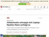 Bild zum Artikel: Wildschwein schnappt sich Laptop: Nackter Mann verfolgt es