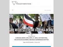 Bild zum Artikel: Corona-Demo: AfD, NPD, III. Weg, Antisemiten, Holocaustleugner, Neonazi-Kameradschaften