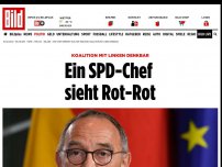 Bild zum Artikel: Koalition mit Linken denkbar - Ein SPD-Chef sieht Rot-Rot