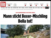 Bild zum Artikel: Auf Hundewiese in Witten (NRW) - Mann sticht Boxer-Mischling tot!