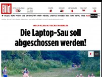 Bild zum Artikel: Nach Klau-Attacke in Berlin - Die Laptop-Sau soll abgeschossen werden!
