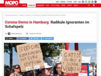 Bild zum Artikel: Corona-Demo in Hamburg: Radikale Ignoranten im Schafspelz