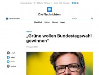 Bild zum Artikel: Habeck - 'Grüne wollen Bundestagswahl gewinnen'