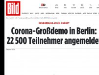 Bild zum Artikel: Kundgebung am 29. August - Corona-Großdemo in Berlin: 22 500 Teilnehmer angemeldet