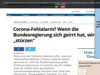 Bild zum Artikel: Corona-Fehlalarm? Wenn die Bundesregierung sich geirrt hat, wird sie „stürzen“