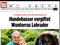 Bild zum Artikel: TV-Moderator trauert - Hundehasser vergiftet Wontorras Labrador
