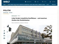 Bild zum Artikel: Linke fordert staatliche Kaufhäuser – und massiven Ausbau des Sozialstaates