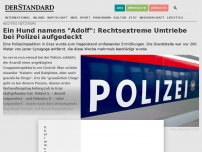 Bild zum Artikel: Ein Hund namens 'Adolf': Rechtsextreme Umtriebe bei Polizei aufgedeckt