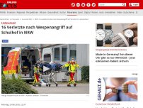 Bild zum Artikel: Lüdenscheid - 14 Verletzte nach Wespenangriff auf Schulhof in NRW