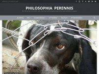 Bild zum Artikel: Evangelische Kirche: Hunde sollen wegen orientalischen Asylbewerbern zu Hause bleiben