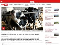 Bild zum Artikel: Tiertransporte nach Russland: Brandenburg exportiert Rinder trotz Minister-Erlass weiter