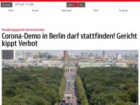 Bild zum Artikel: Corona-Demo in Berlin darf stattfinden! Gericht kippt Verbot