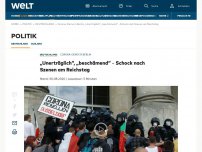 Bild zum Artikel: „Unerträglich“, „beschämend“ – Schock nach dem Sturm auf den Reichstag