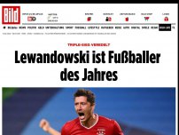 Bild zum Artikel: Triple-Sieg veredelt - Lewandowski ist Fußballer des Jahres