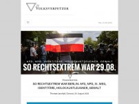 Bild zum Artikel: So rechtsextrem war Berlin: AfD, NPD, III. Weg, Identitäre, Holocaustleugner, Gewalt