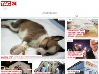 Bild zum Artikel: Hund zu Tode vergewaltigt: Er war erst sechs Monate alt!