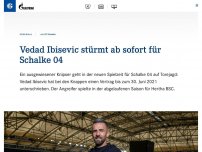 Bild zum Artikel: Vedad Ibisevic stürmt ab sofort für Schalke 04