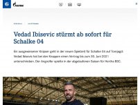 Bild zum Artikel: Vedad Ibisevic stürmt ab sofort für Schalke 04