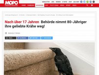 Bild zum Artikel: Nach über 17 Jahren: Behörde nimmt 80-Jähriger ihre geliebte Krähe weg!