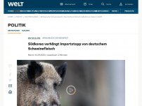 Bild zum Artikel: Afrikanische Schweinepest erreicht Deutschland