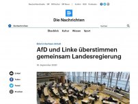 Bild zum Artikel: Eklat in Sachsen-Anhalt - AfD und Linke überstimmen gemeinsam Landesregierung