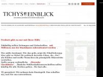 Bild zum Artikel: Die Kosten der Asyleinwanderung in Deutschland