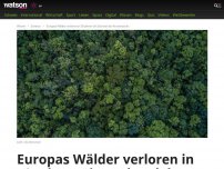 Bild zum Artikel: Europas Wälder verloren in 30 Jahren ein Sechstel des Kronendachs – Schweiz kommt gut weg
