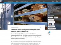 Bild zum Artikel: Offenbar erneut illegaler Tierexport von Bayern nach Usbekistan