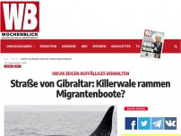 Bild zum Artikel: Straße von Gibraltar: Killerwale rammen Migrantenboote?