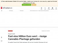 Bild zum Artikel: Wert: Fast eine Million Euro - riesige Cannabis-Plantage gefunden