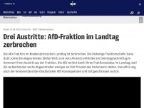 Bild zum Artikel: Drei Austritte: AfD-Fraktion im Landtag zerbricht