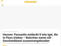 Bild zum Artikel: Hessen: Passantin entdeckt 8 tote Igel, die in Fluss trieben – Beinchen waren mit Geschenkband zusammengebunden