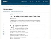 Bild zum Artikel: Pferd verteidigt Reiterin gegen übergriffigen Mann