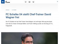 Bild zum Artikel: FC Schalke 04 stellt Chef-Trainer David Wagner frei