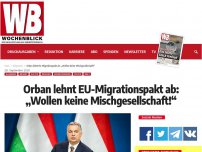 Bild zum Artikel: Orban lehnt EU-Migrationspakt ab: „Wollen keine Mischgesellschaft!“