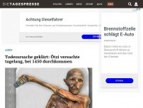 Bild zum Artikel: Todesursache geklärt: Ötzi versuchte tagelang, bei 1450 durchkommen