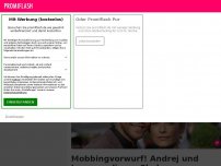 Bild zum Artikel: Mobbingvorwurf! Andrej und Jenny verlieren Shake-Kooperation