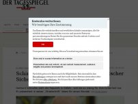 Bild zum Artikel: Schindler hat schwere Zweifel an deutscher Sicherheitsarchitektur