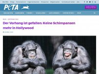 Bild zum Artikel: Der Vorhang ist gefallen: Keine Schimpansen mehr in HollywoodCancelPreferencesEdit