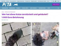 Bild zum Artikel: Wer hat diese Katze zerstückelt und gehäutet? 1.000 Euro Belohnung