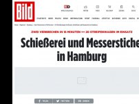 Bild zum Artikel: Schüsse und Messerstiche - Wildwest in Harburg