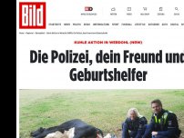Bild zum Artikel: Kuhle Aktion in Werdohl (NRW) - Die Polizei, dein Freund und Geburtshelfer