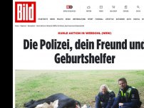 Bild zum Artikel: Kuhle Aktion in Werdohl (NRW) - Die Polizei, dein Freund und Geburtshelfer