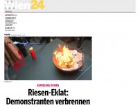 Bild zum Artikel: Corona-Gegner wollen in Wien ''Masken verbrennen''