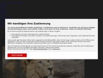 Bild zum Artikel: Möglicherweise zeugungsunfähig: Kein Nachwuchs in Sicht: Nürnberger Zoo denkt über Tötung von Löwenmännchen nach