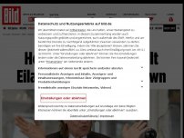 Bild zum Artikel: „Verfassungswidrig“ - Hessischer Anwalt tellt Eilantrag gegen Lockdown