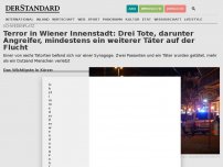 Bild zum Artikel: Großeinsatz der Polizei nach Schüssen in der Wiener Innenstadt