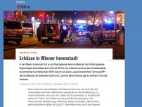 Bild zum Artikel: Schüsse in Wiener Innenstadt
